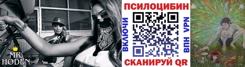 даркнет как зайти  Нефтекамск  Галлюциногенные грибы Cubensis 